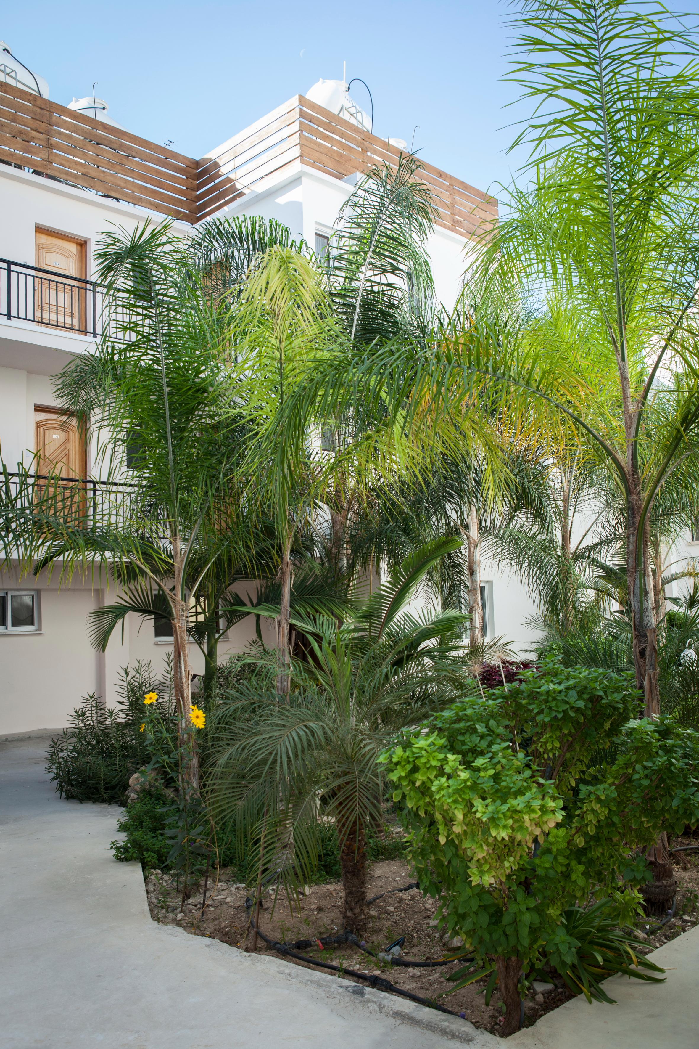 Alecos Hotel Apartments Пафос Екстер'єр фото